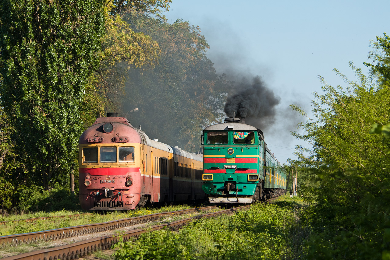 Два поезда едут. 3тэ10м-1225. 3тэ10м -1225 станция. Д1 Молдова. Д1 706 3.